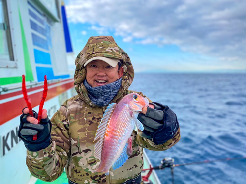 アマダイの釣果