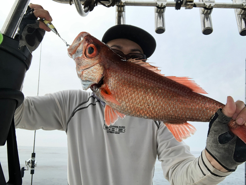 アカムツの釣果