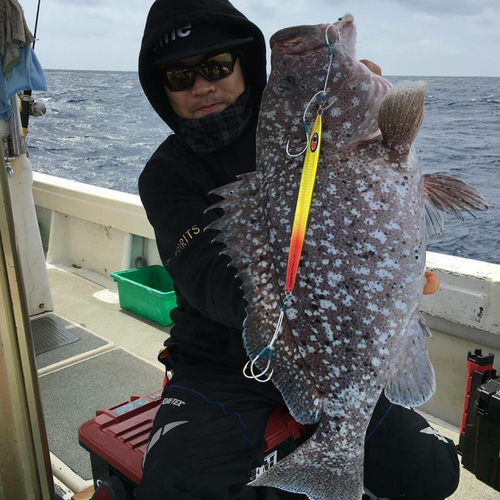 ツチホゼリの釣果