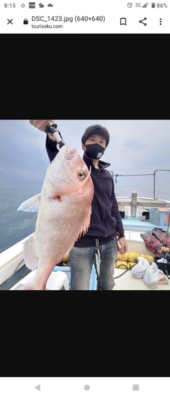 アマダイの釣果