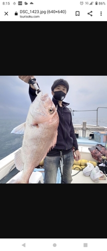 アマダイの釣果