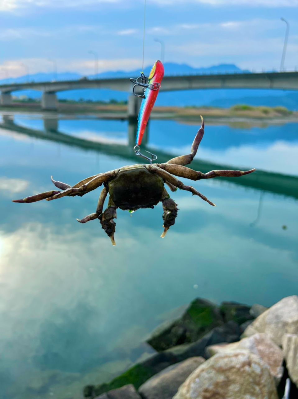 カニ