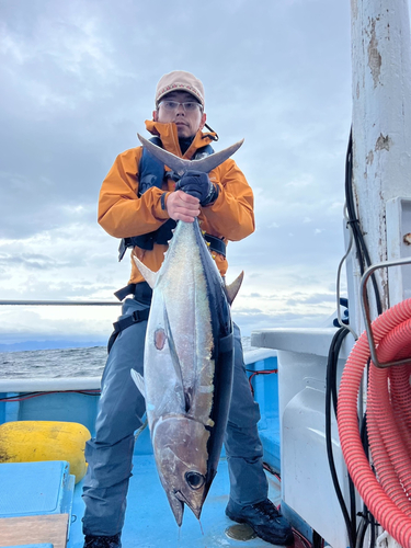 マグロの釣果