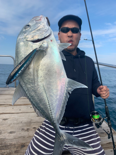 ロウニンアジの釣果