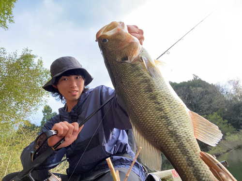 ブラックバスの釣果