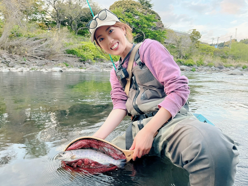 ヤマメの釣果