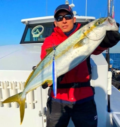 ヒラマサの釣果