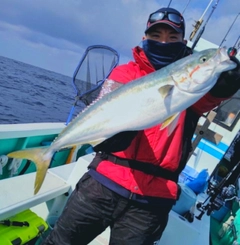 ワラサの釣果