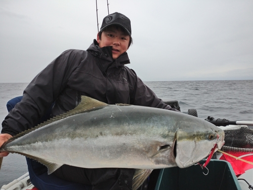 ブリの釣果