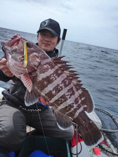 マハタの釣果