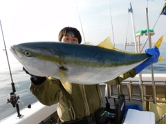 ブリの釣果