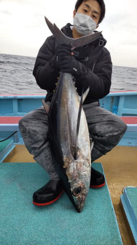 ビンチョウマグロの釣果