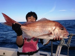 タイの釣果