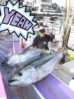 キハダマグロの釣果