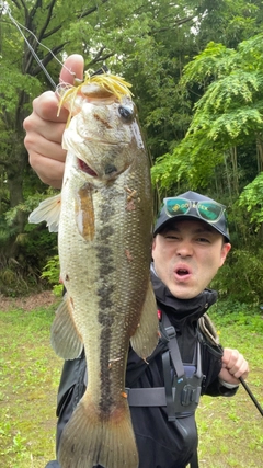 ブラックバスの釣果