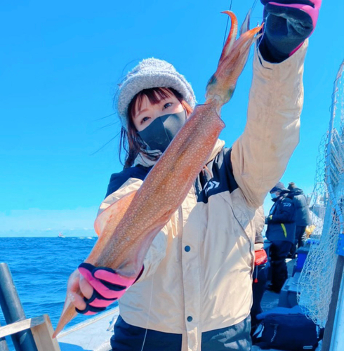 ヤリイカの釣果