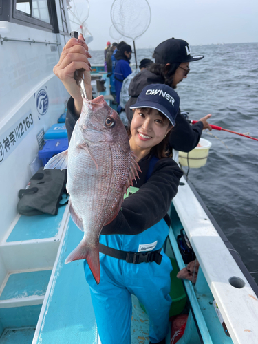 マダイの釣果