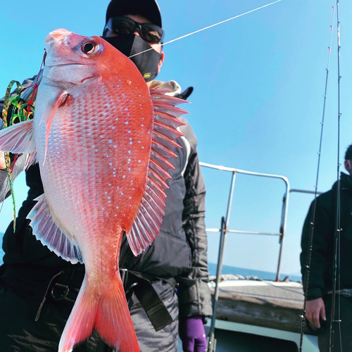 タイの釣果