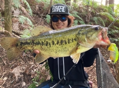 ブラックバスの釣果