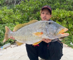 ムネアカクチビの釣果