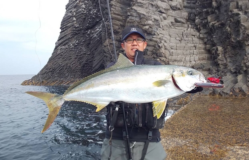 ヒラマサの釣果