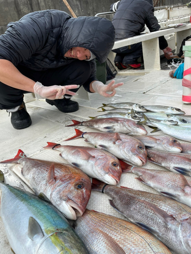 タイの釣果