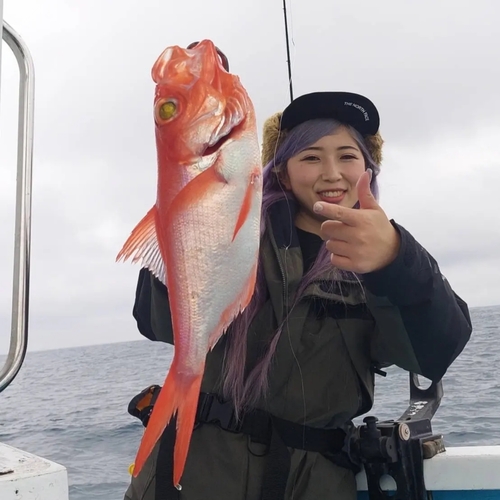 キンメダイの釣果