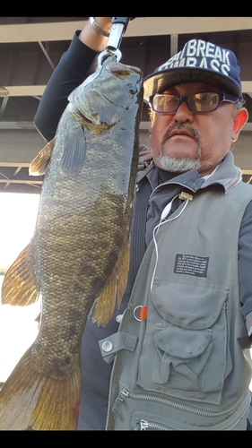 スモールマウスバスの釣果