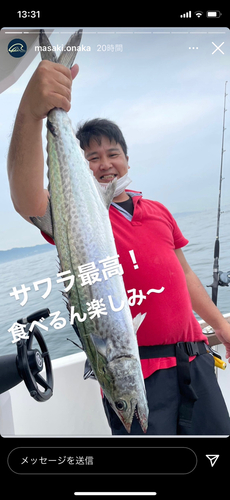 サワラの釣果