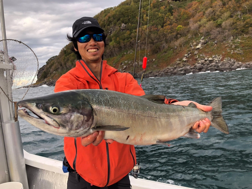 シロザケの釣果