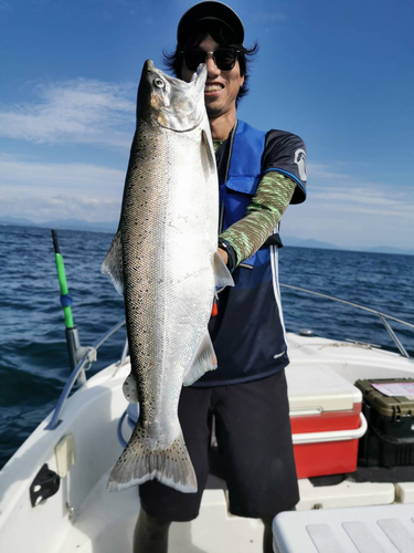 ビワマスの釣果