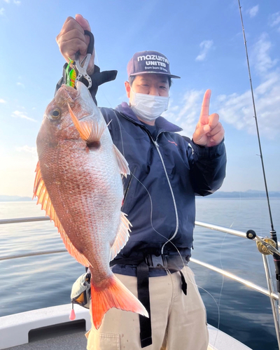 マダイの釣果