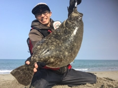 ヒラメの釣果