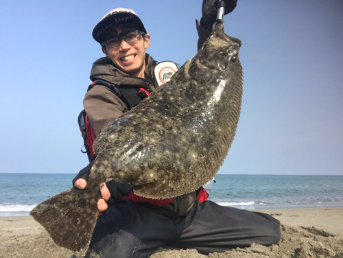 ヒラメの釣果