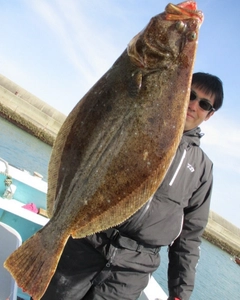 ヒラメの釣果