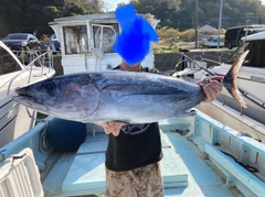 ビンチョウマグロの釣果