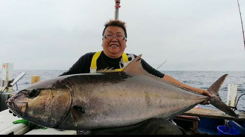 カンパチの釣果