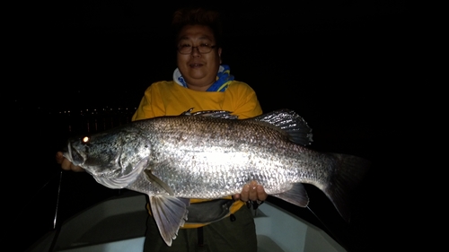 アカメの釣果