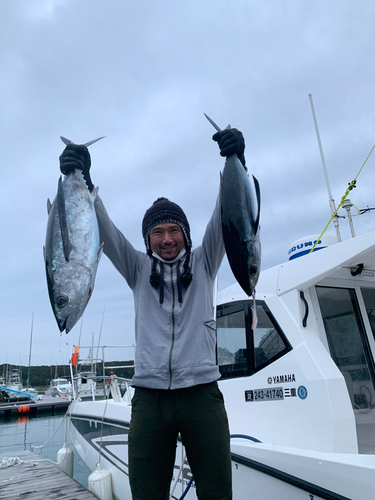 ビンチョウマグロの釣果