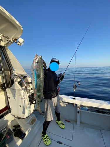 ハガツオの釣果