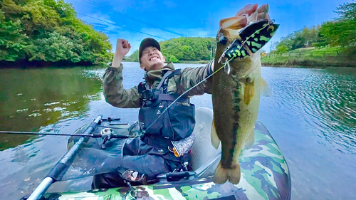 ブラックバスの釣果