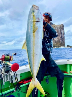 ヒラマサの釣果