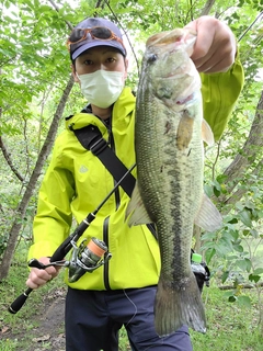 ラージマウスバスの釣果