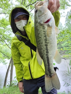ラージマウスバスの釣果