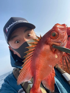 チカメキントキの釣果