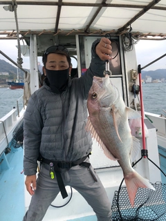 マダイの釣果