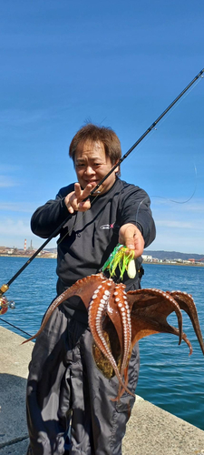 タコの釣果