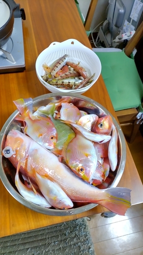 アマダイの釣果