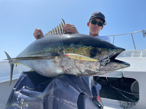 キハダマグロの釣果