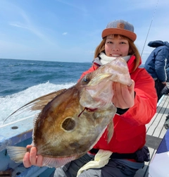 マトウダイの釣果